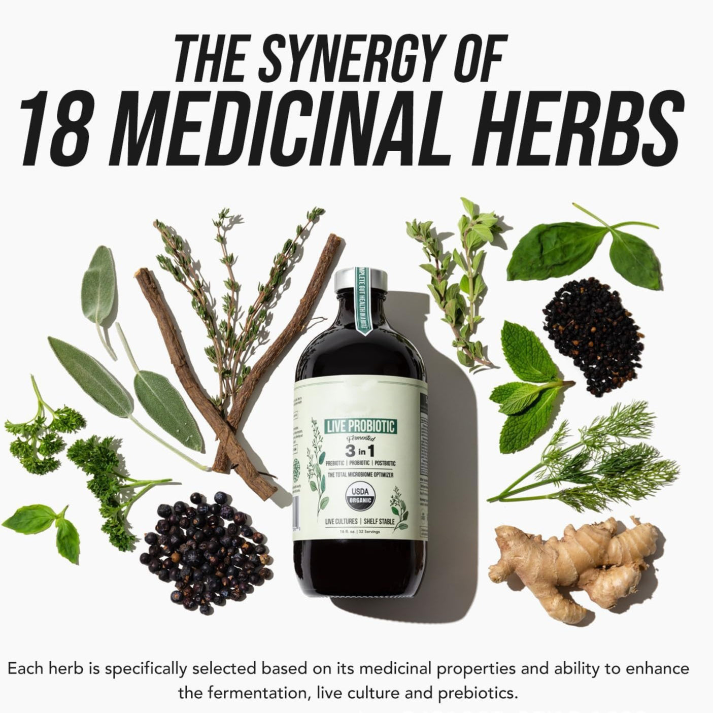 Active Probiotics Supplement